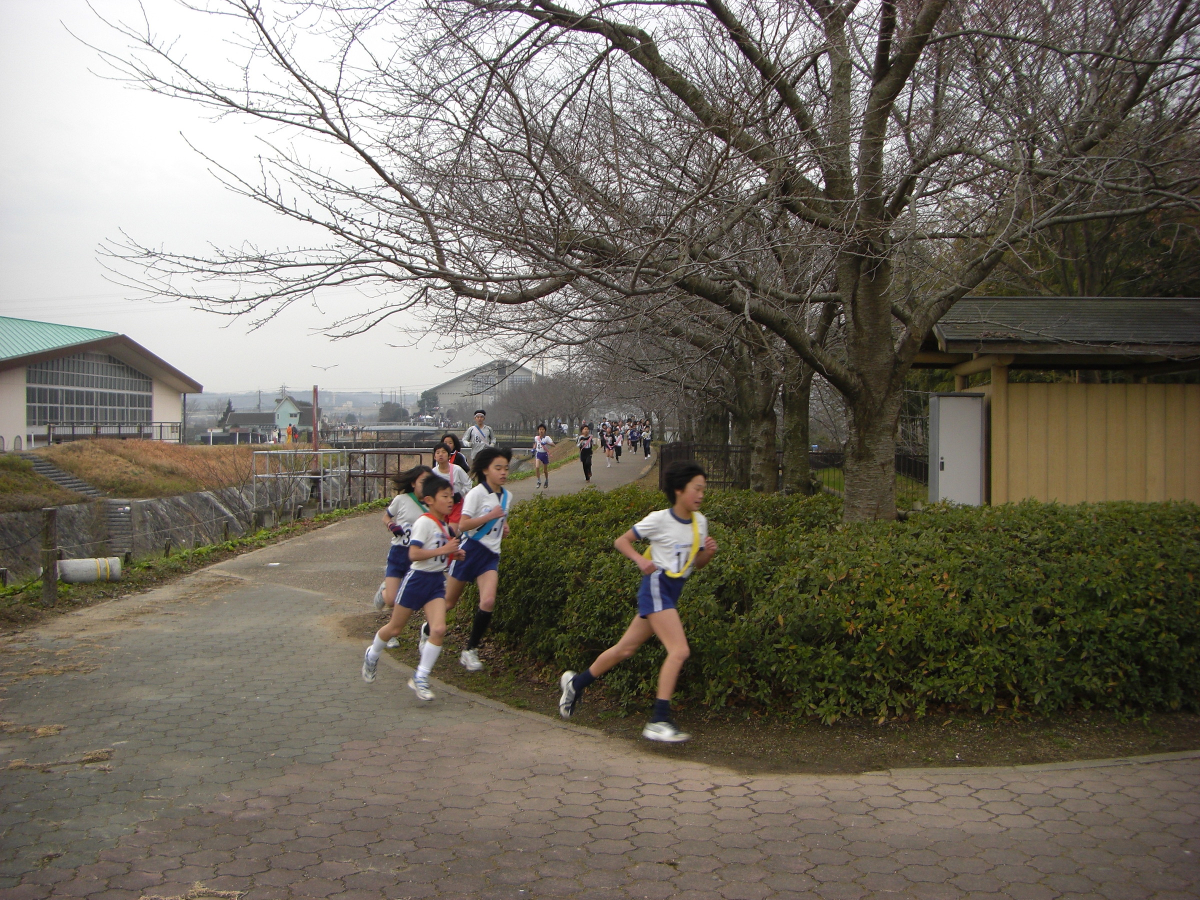 １月：木津川市民駅伝大会